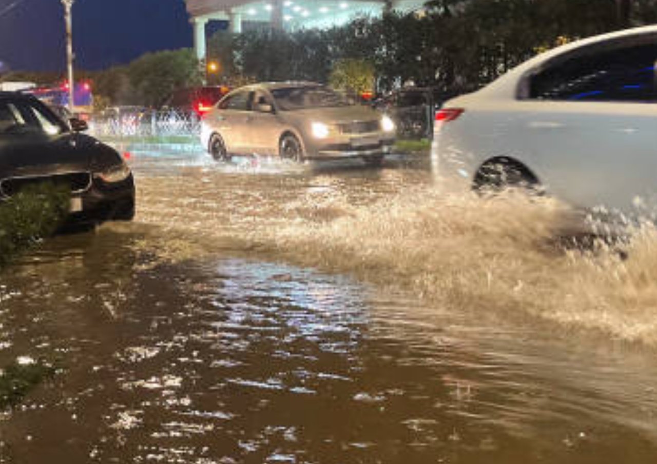 Template mitrapost neww