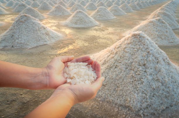 Ilustrasi garam/istock Ilustrasi garam/istock