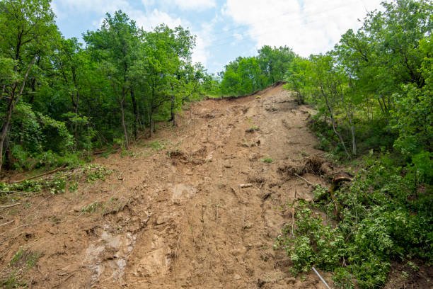 Ilustrasi longsor/istock