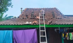 Pasca Angin Puting Beliung Landa Desa Grogol Demak, Warga Gotong-Royong Lakukan Pembersihan/polres demak Pasca Angin Puting Beliung Landa Desa Grogol Demak, Warga Gotong-Royong Lakukan Pembersihan/polres demak