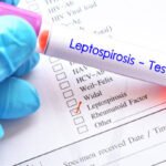 Ilustrasi Leptospirosis /istock
