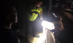 0c74aa5f1f55a4f6d8241f8c95e1c75b