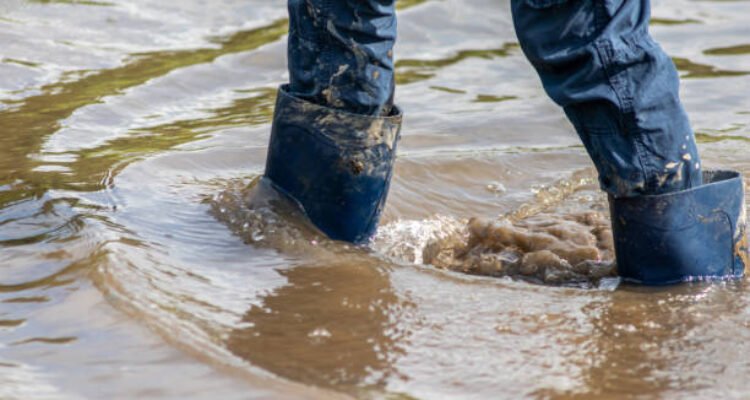Ilustrasi banjir/istock