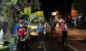 Hujan Deras dan Angin Kencang Sebabkan Pohon Tumbang di Tepi Jalan Jayeng Kusuma Tulungagung/polres tulungagung