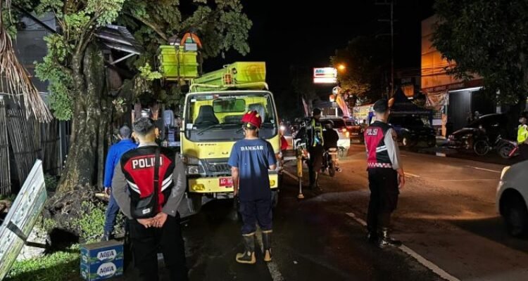 Hujan Deras dan Angin Kencang Sebabkan Pohon Tumbang di Tepi Jalan Jayeng Kusuma Tulungagung/polres tulungagung