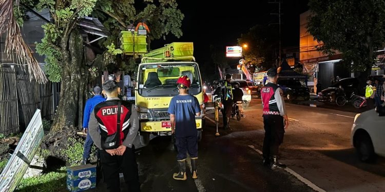 Hujan Deras dan Angin Kencang Sebabkan Pohon Tumbang di Tepi Jalan Jayeng Kusuma Tulungagung/polres tulungagung