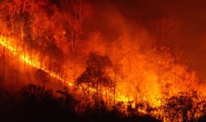 Ilustrasi kebakaran/istock