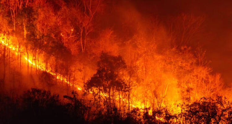 Ilustrasi kebakaran/istock