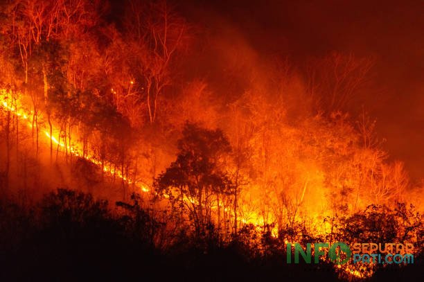 Ilustrasi kebakaran/istock