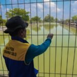 Antisipasi Kekeringan, Gubernur Jateng Minta Embung dan Saluran Irigasi Dipastikan Berfungsi/jatengprov Antisipasi Kekeringan, Gubernur Jateng Minta Embung dan Saluran Irigasi Dipastikan Berfungsi/jatengprov