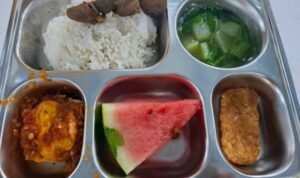 Ilustrasi menu MBG/istock