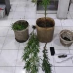 Kasus Kasus Penyalahgunaan Narkoba di Bukittinggi/ humas polri