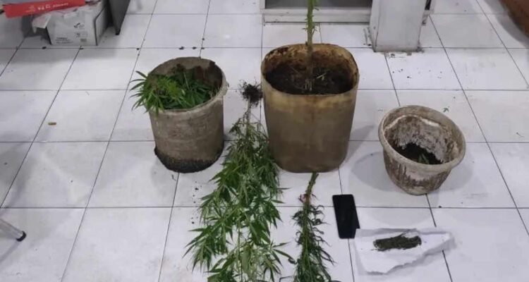 Kasus Kasus Penyalahgunaan Narkoba di Bukittinggi/ humas polri