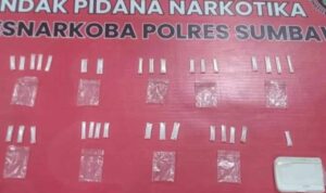 Polisi Amankan Petani di Sumbawa Karena Edarkan Sabu /humas Polri