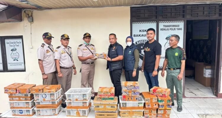 Foto: Barang bukti burung kasus penyelundupan burung yang dilindungi (Sumber: Humas Polri)