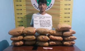 Polisi Tangkap Kurir Ganja di Pasaman Bersama 16 Paket Narkoba/humas polri