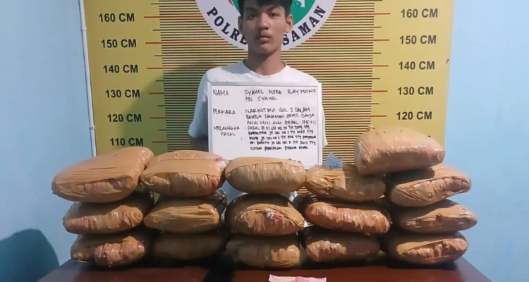 Polisi Tangkap Kurir Ganja di Pasaman Bersama 16 Paket Narkoba/humas polri