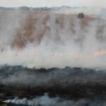 Kebakaran Lahan di Kobar Kalteng Dekat Permukiman, Pemadaman Terkendala Pasokan Air - Info Seputar Pati