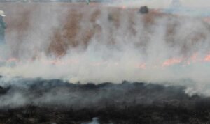 Kebakaran Lahan di Kobar Kalteng Dekat Permukiman, Pemadaman Terkendala Pasokan Air - Info Seputar Pati