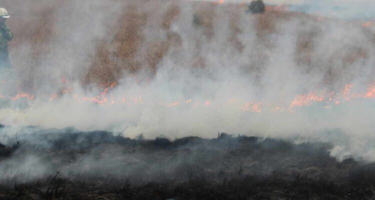 Kebakaran Lahan di Kobar Kalteng Dekat Permukiman, Pemadaman Terkendala Pasokan Air - Info Seputar Pati