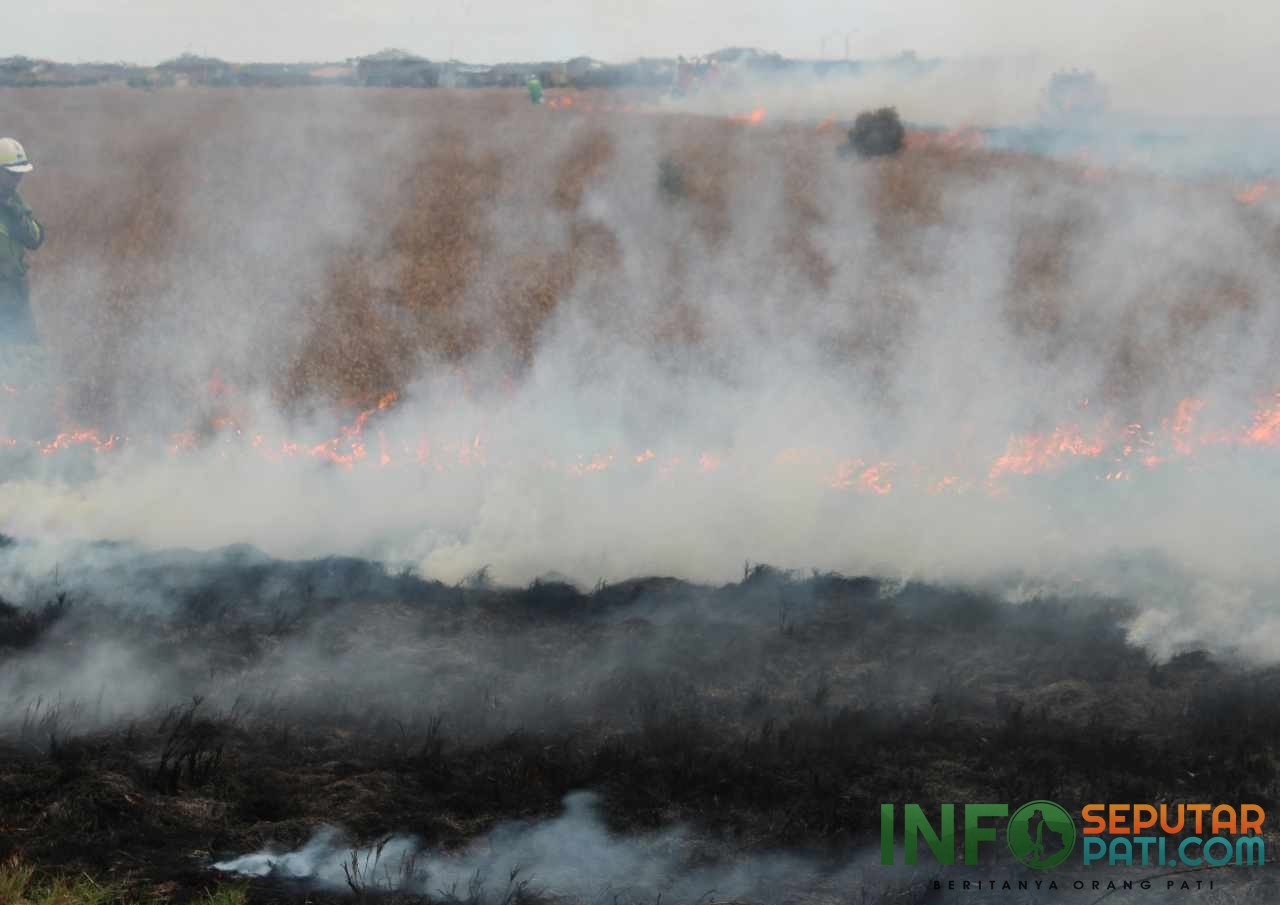Kebakaran Lahan di Kobar Kalteng Dekat Permukiman, Pemadaman Terkendala Pasokan Air - Info Seputar Pati