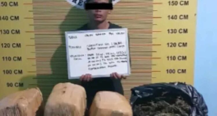 Dua Kurir Ganja di Pasaman Berhasil Diringkus Polisi, Satu Pelaku di Bawah Umur/humas polri
