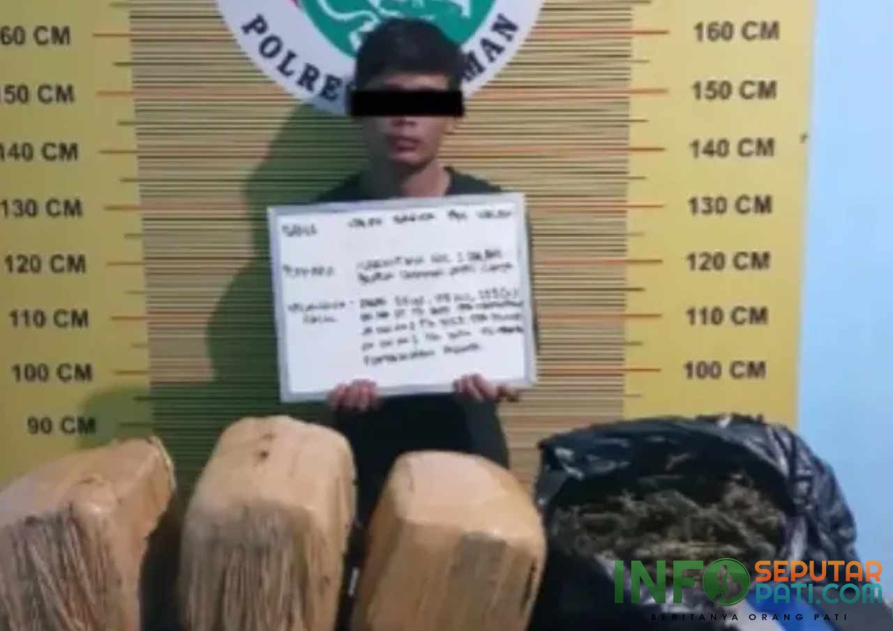 Dua Kurir Ganja di Pasaman Berhasil Diringkus Polisi, Satu Pelaku di Bawah Umur/humas polri